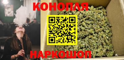эйфоретик Аша