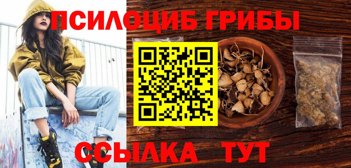 Псилоцибиновые грибы Psilocybine cubensis Дмитров